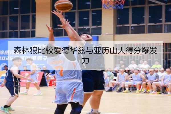 森林狼比较爱德华兹与亚历山大得分爆发力
